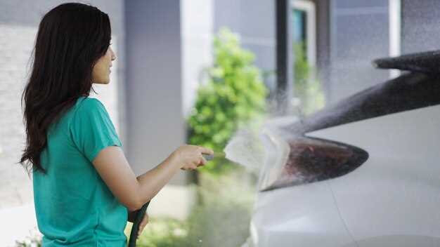 Step-by-Step Guide to a Streak-Free Shine