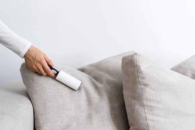 Best Vacuum Techniques for Upholstered Furniture Maintenance